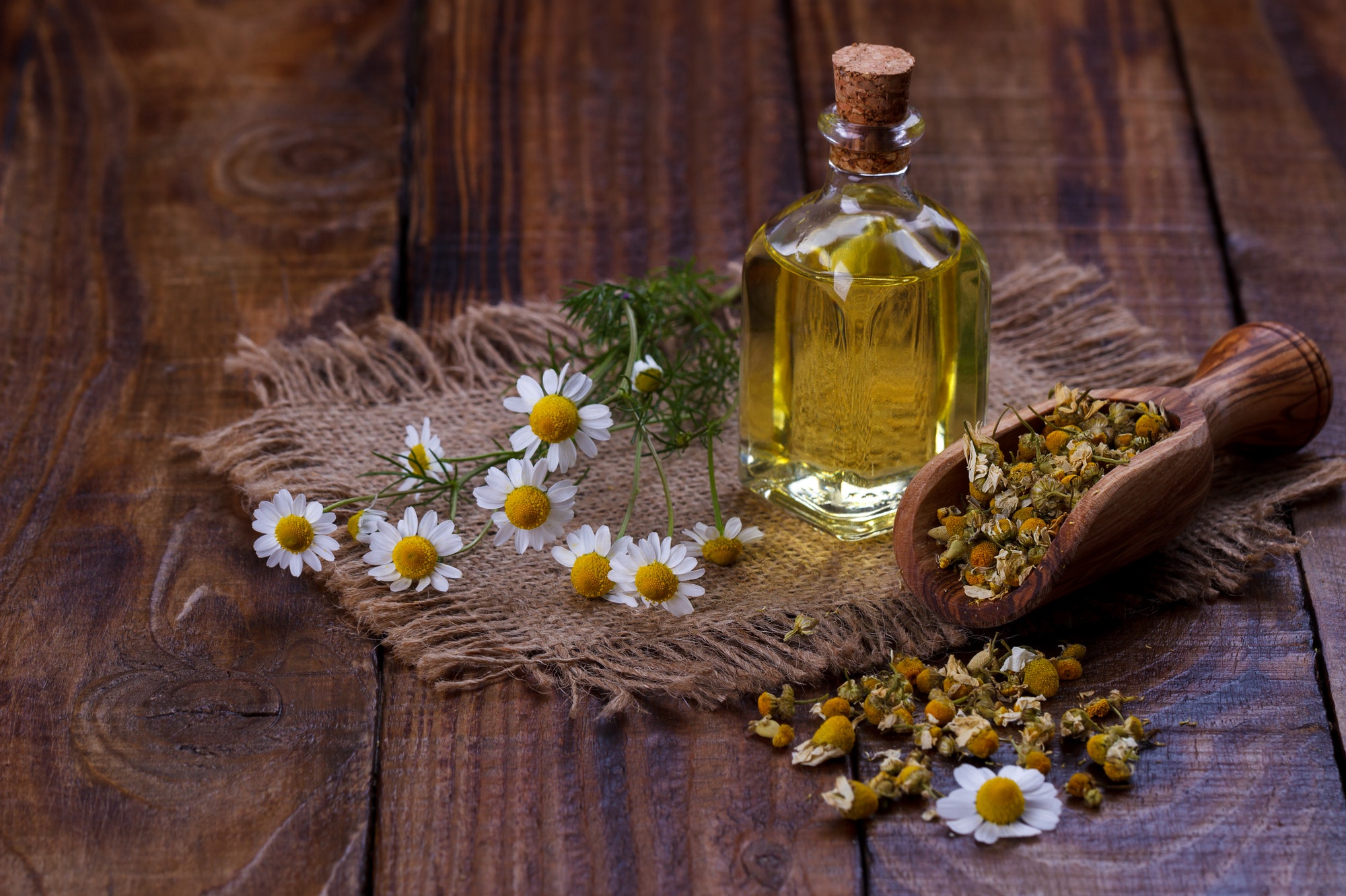 Chamomile oil aromatherapy